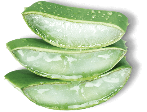 ingredient-aloe-vera